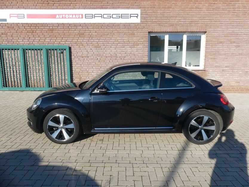 Beetle