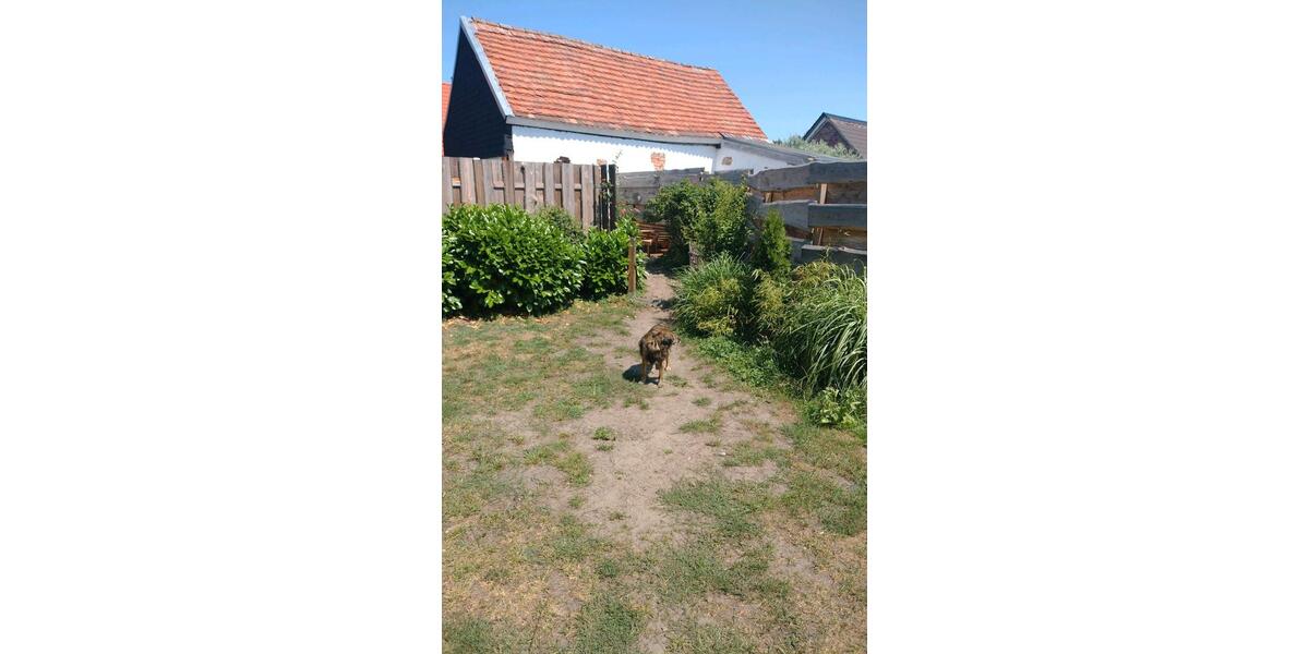 Mehrfamilienhaus, Wohnhaus Liepgarten - 2 Zimmer, 65 m&sup2;, 119.000&euro; | Angebot:27094390