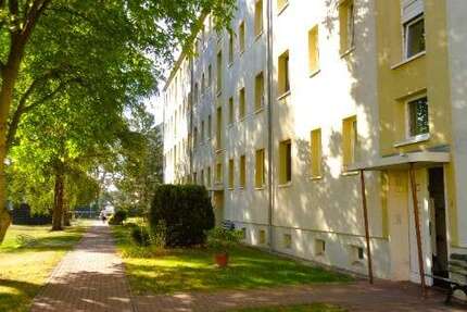 Wohnung Braunsbedra Neumark - 3 Zimmer, 60 m&sup2;, 357&euro; | Angebot:27128596