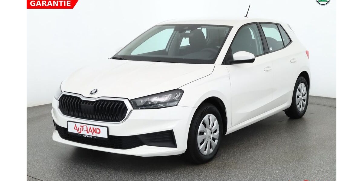 Skoda Fabia 38.324 km 14.990 &euro; Cottbus OT Kolkwitz 03099