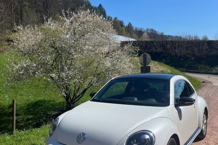 VW Beetle