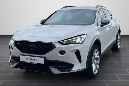 Cupra Formentor 41.916 km 25.980 € Mainz 55129