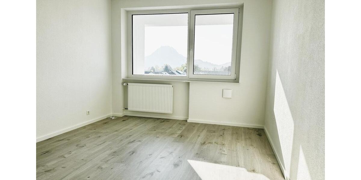 Neuwertige 4 Zim.-Penthouse Wohnung am See mit riesen Terrasse in Singen 4 zimmer