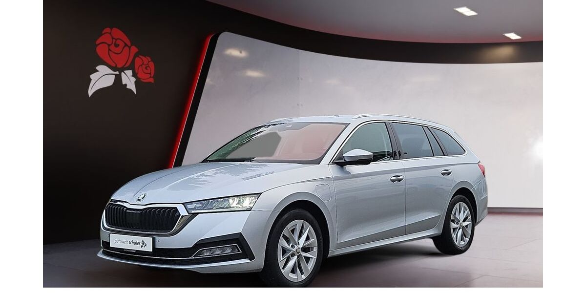 Skoda Octavia 133.300 km 19.849 &euro; Villingen-Schwenningen 78052