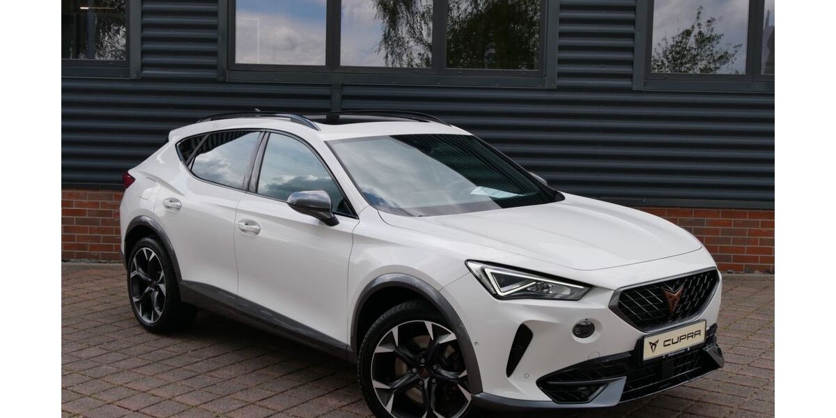 Cupra Formentor 43.890 km 34.790 &euro; Schneeberg 08289