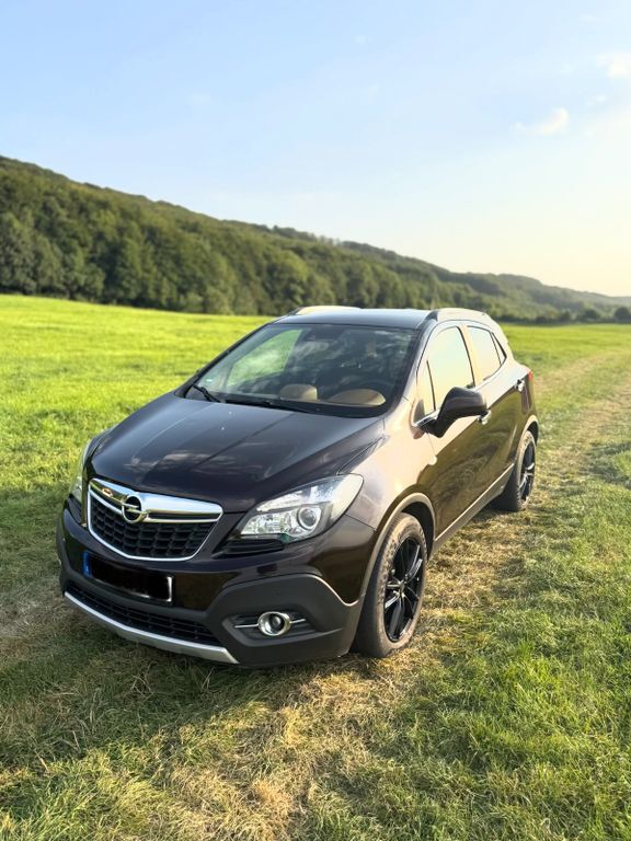 Mokka