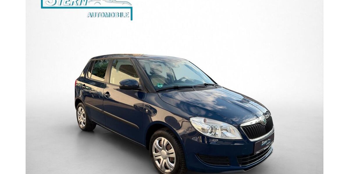 Skoda Fabia 114.000 km 4.590 &euro; Lampertheim 68623