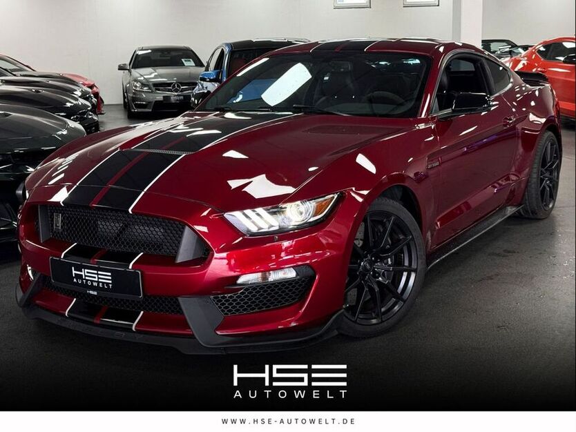 Mustang