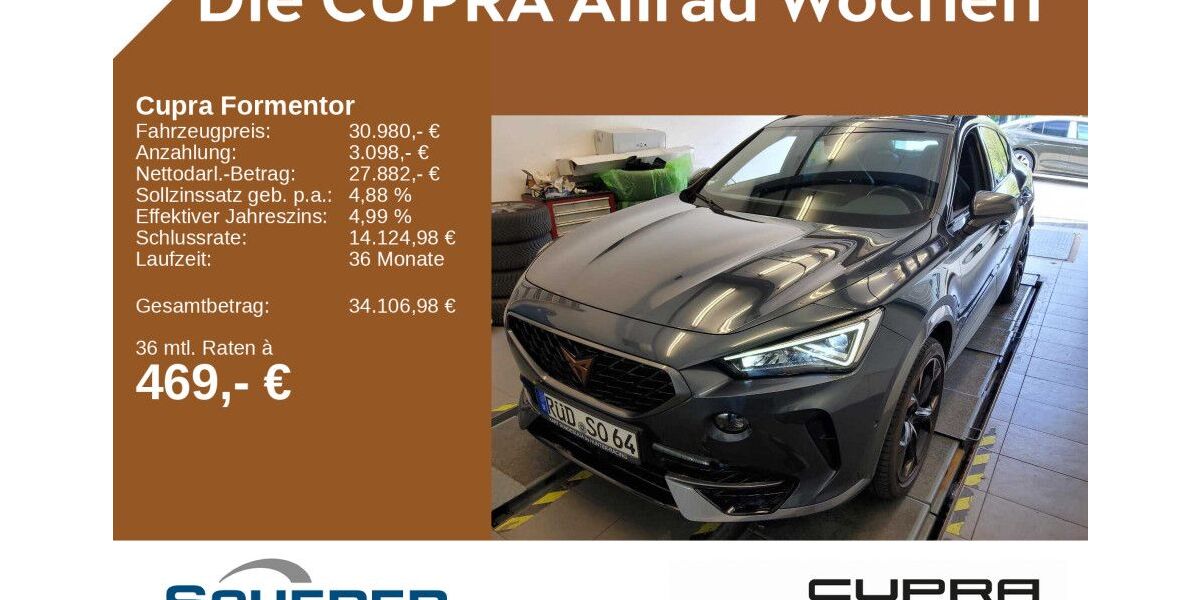 Cupra Formentor 42.484 km 30.980 &euro; Mainz 55129