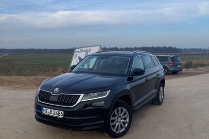 Skoda Kodiaq 132.000 km 24.200 &euro; Schwabenheim an der Selz 55270