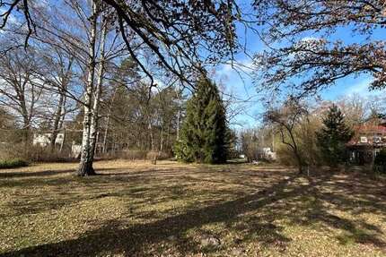 Grundstück Wittenberge / Lindenberg Lindenberg - 75.000&euro; | Angebot:25962647