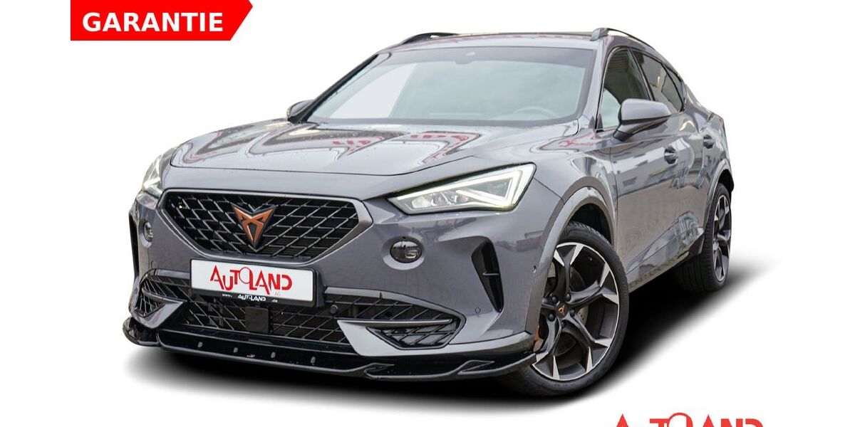 Cupra Formentor 38.551 km 30.890 &euro; Bad Hersfeld 36251