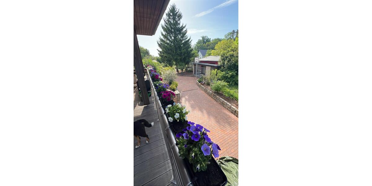 Einfamilienhaus Torgau - 7.5 Zimmer, 310 m&sup2;, 650.000&euro; | Angebot:26950379
