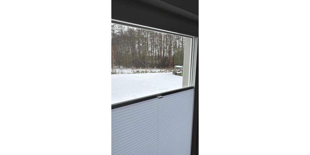 Etagenwohnung Lübeck Sankt Jürgen - 2 Zimmer, 38 m&sup2;, 740&euro; | Angebot:26366691