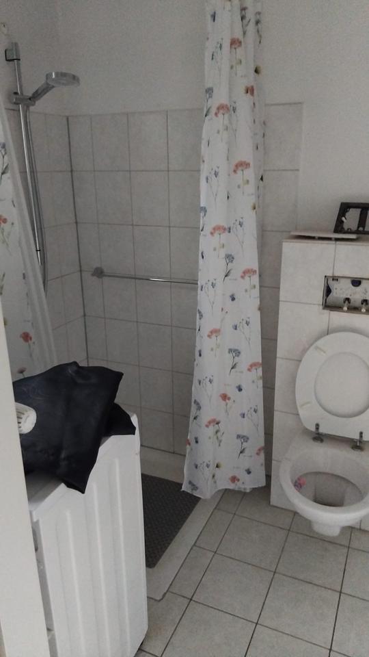 Apartment zu vermieten zimmer