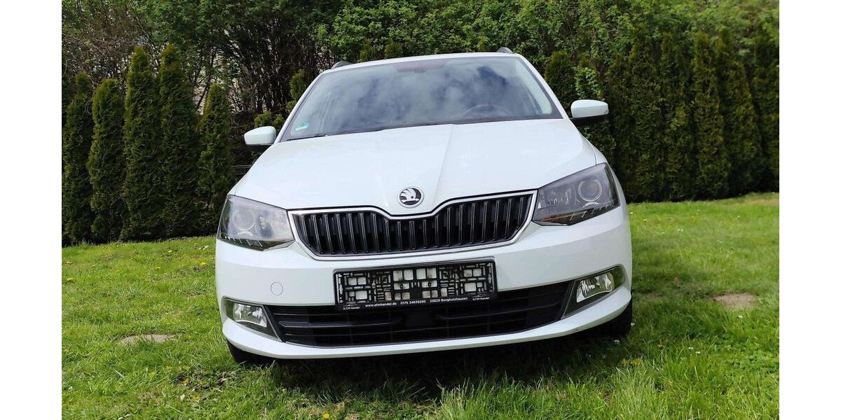 Skoda Fabia 130.000 km 8.600 &euro; Borgholzhausen 33829