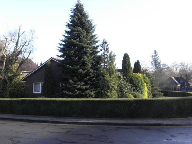 Einfamilienhaus Weener - 4 Zimmer, 120 m&sup2;, 800&euro; | Angebot:26017123