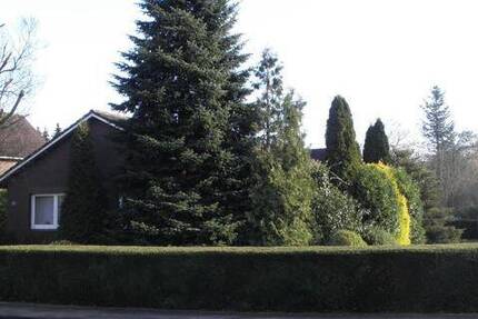 Haus Weener - 4 Zimmer, 120 m&sup2;, 800&euro; | Angebot:26017123