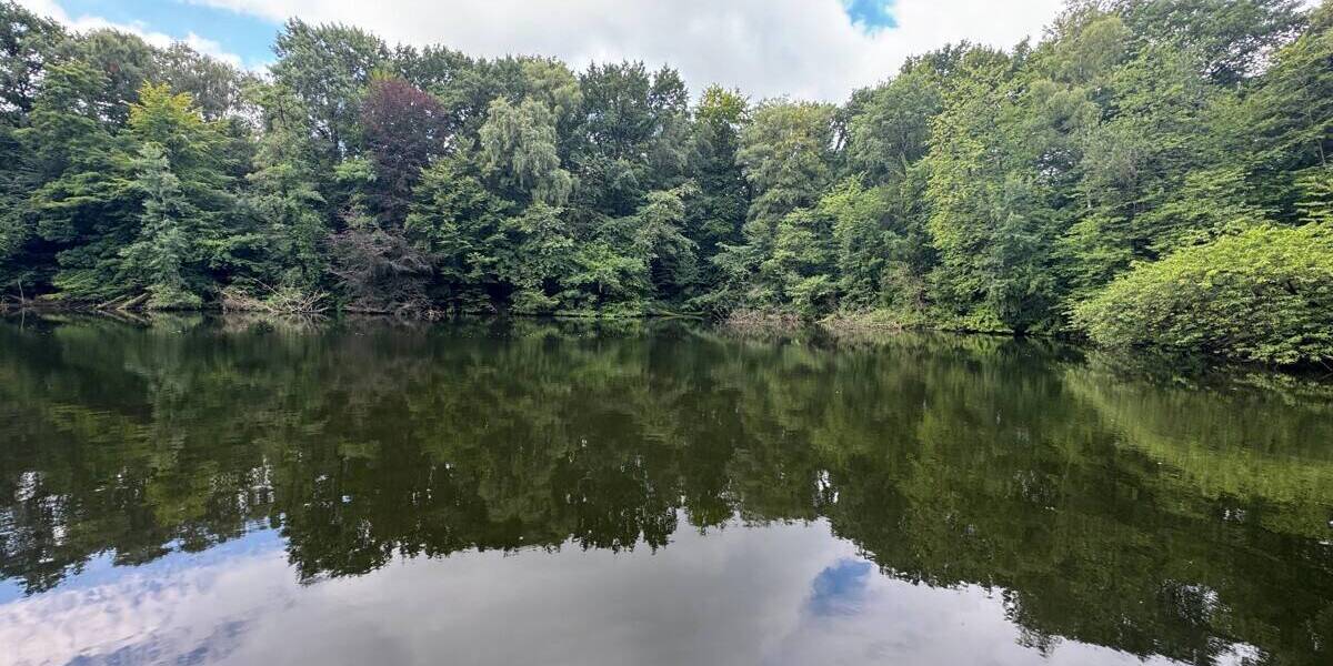 Grundstück Großenkneten Hosüne - 159.000&euro; | Angebot:22148214