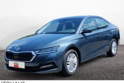 Skoda Octavia 50.017 km 19.440 &euro; Melle 49324
