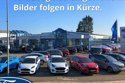 Ford Fiesta 40.900 km 11.490 &euro; Dierdorf 56269