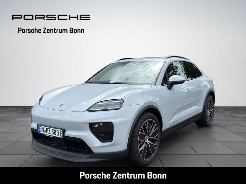 Macan