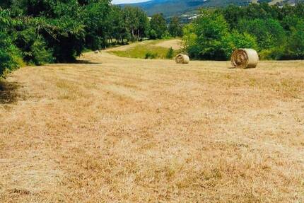 Grundstück Viernau Viernau - 25.000&euro; | Angebot:25727688