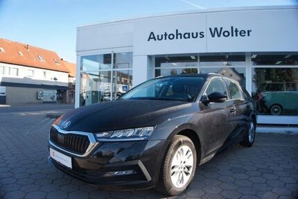 Skoda Octavia 170.588 km 17.861 € Lüchow 29439