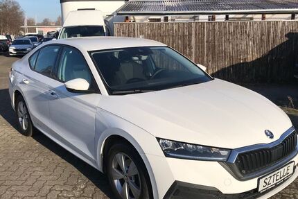 Skoda Octavia 186.129 km 11.999 &euro; Braunschweig 38110