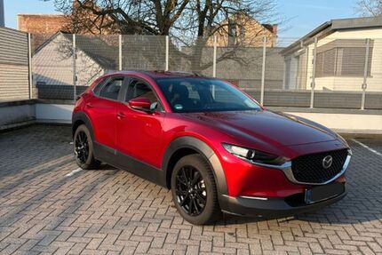 Mazda CX-30 30.500 km 21.500 &euro; Belm 49191