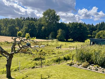IHR ZUHAUSE MIT CHARME UND GRÜNBLICK - Einfamilienhaus Tessin | Angebot:26768599