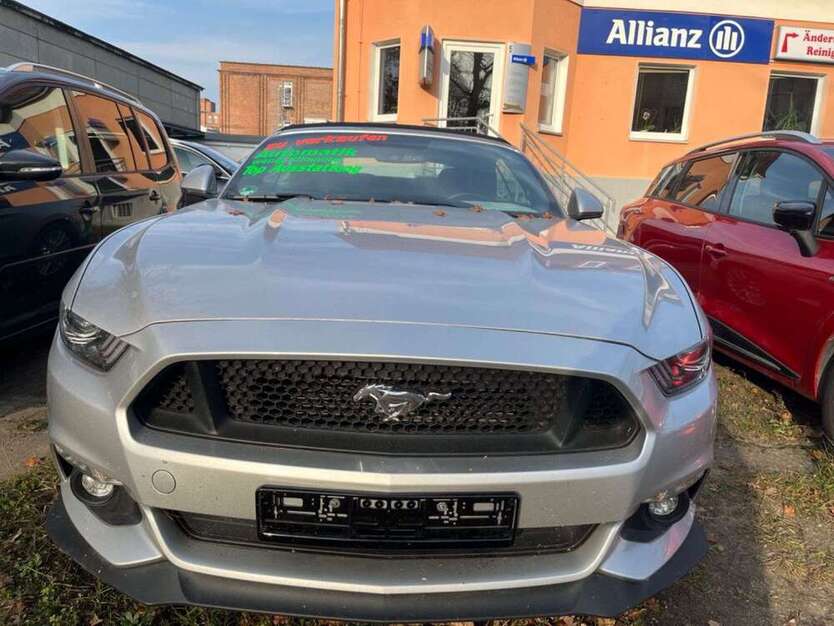 Mustang