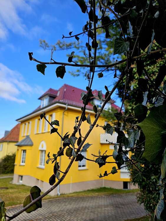 Haus zum Kaufen in Mühlhausen 500.000 € 325 m²