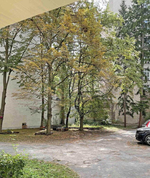 Provisionsfrei: Kernsanierte CityWohnung mit Süd-Balkon in schöner Kiez-Lage
