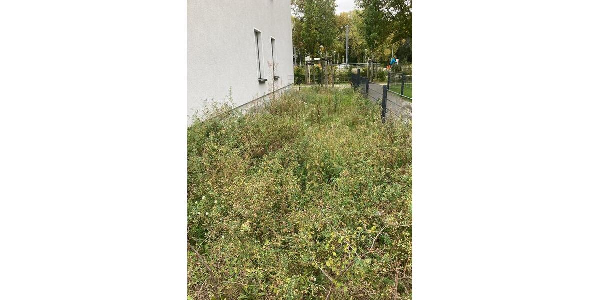 Erdgeschoßwohnung Berlin Treptow-Köpenick - 2 Zimmer, 48 m&sup2;, 365.000&euro; | Angebot:24866756