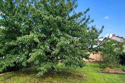 Haus Muldestausee Gröbern - 4 Zimmer, 110 m&sup2;, 98.000&euro; | Angebot:23986283