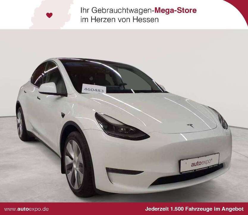 Model Y