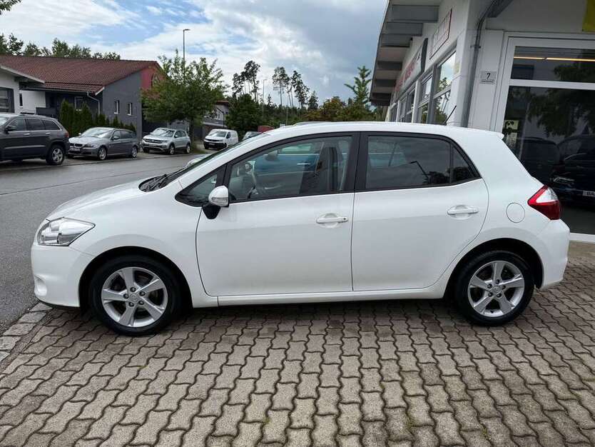 Auris