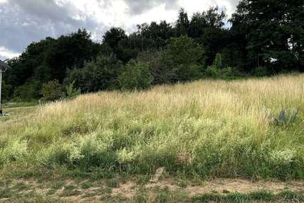 Grundstück Bassenheim - 327.600&euro; | Angebot:24917995