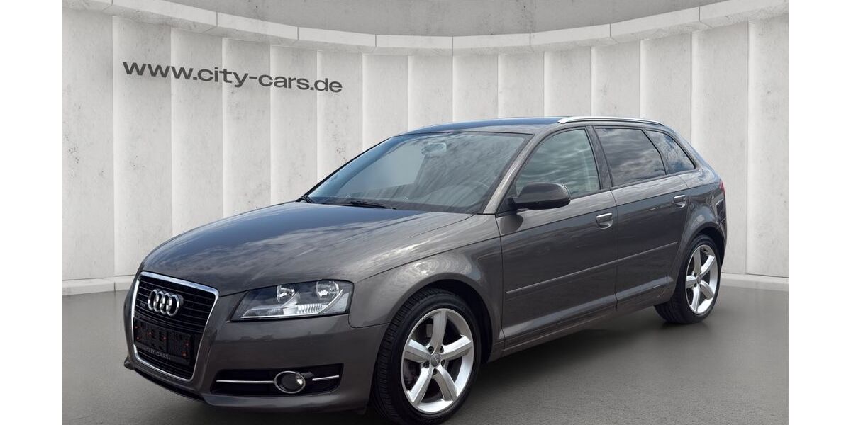 Audi A3 123.626 km 9.990 &euro; Brandenburg 14772