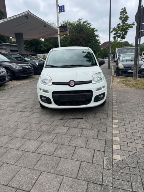 Panda