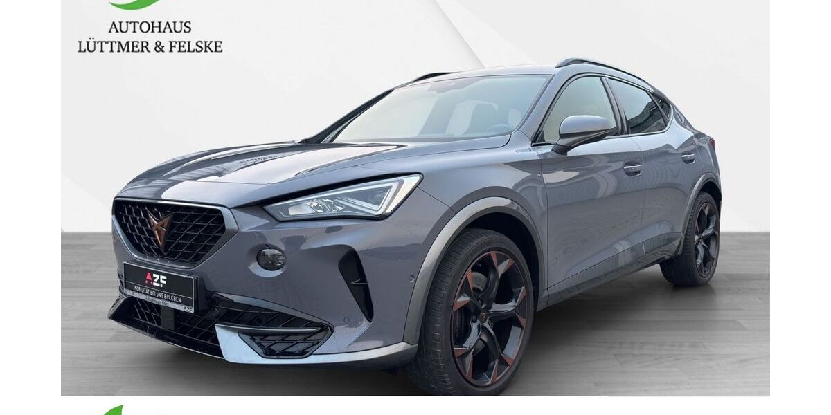 Cupra Formentor 40.729 km 29.890 &euro; Schleswig 24837