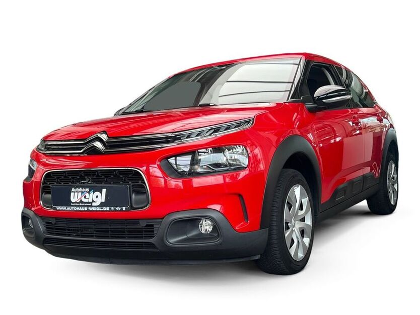 C4 Cactus