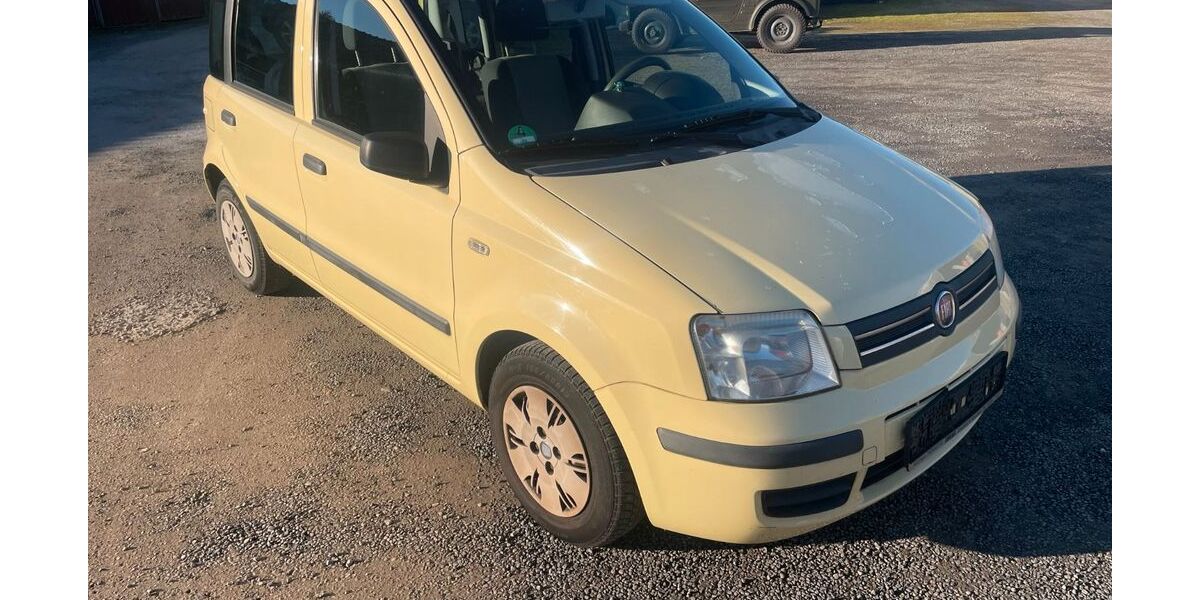 Fiat Panda 152.350 km 1.200 &euro; Viernheim 68519