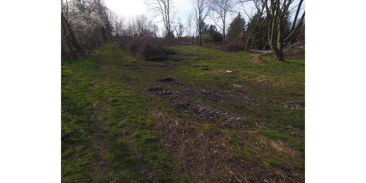 Grundstück Machern - 185.000&euro; | Angebot:24036204