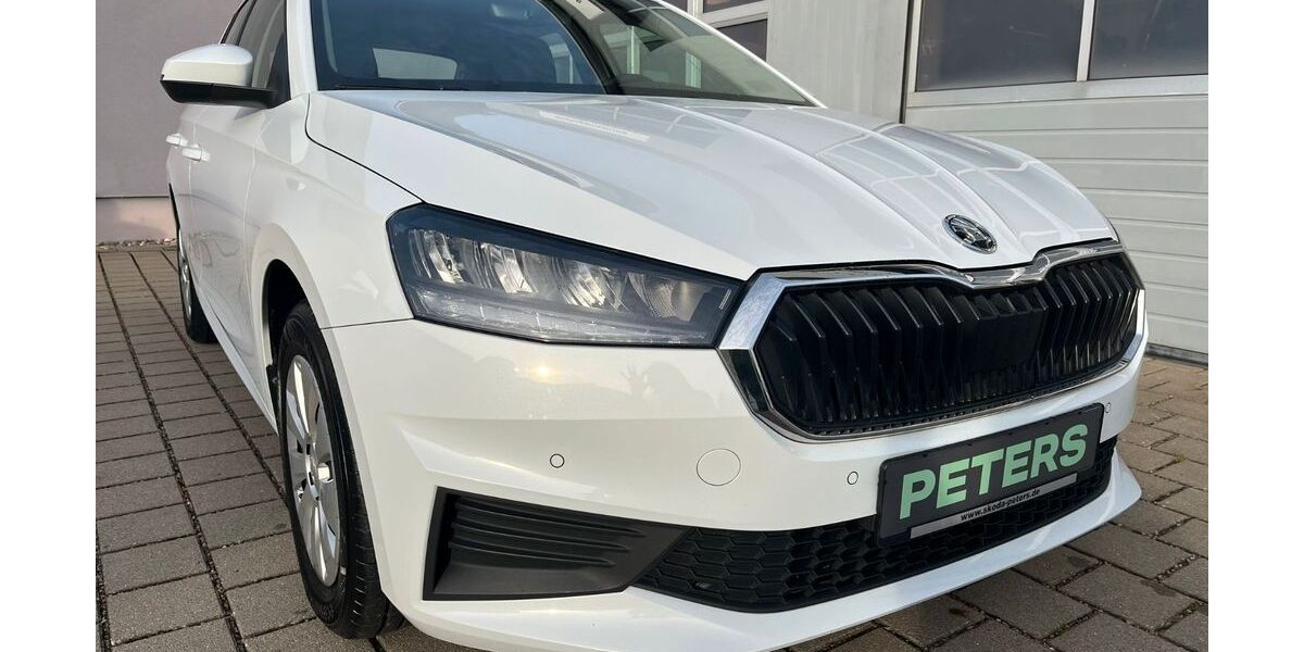 Skoda Fabia 30.350 km 18.710 &euro; Barth 18356