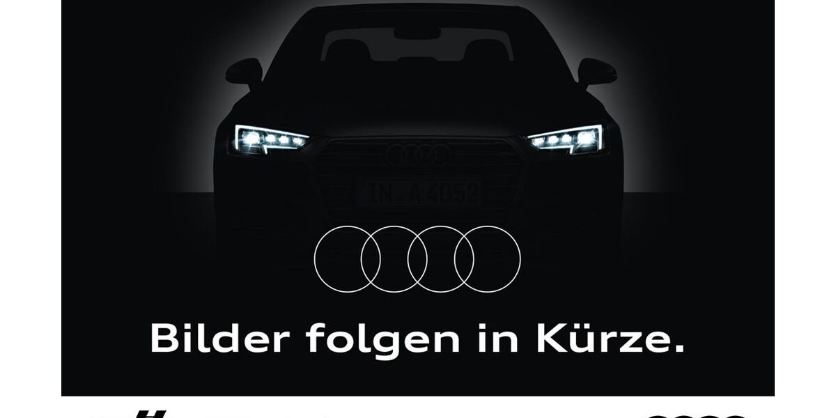 Audi SQ6 e-tron 14.133 km 110.000 &euro; Torgau 04860