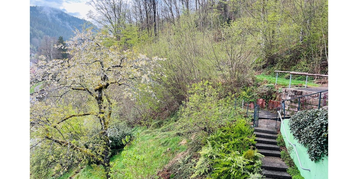 Zwei Wohnungen, ein Hausgefühl: „Haus-im-Haus-Charakter“ mit Garten, Sauna und Kaminzimmer - Mehrfamilienhaus, Wohnhaus Bad Rippoldsau-Schapbach Schapbach | Angebot:26692716