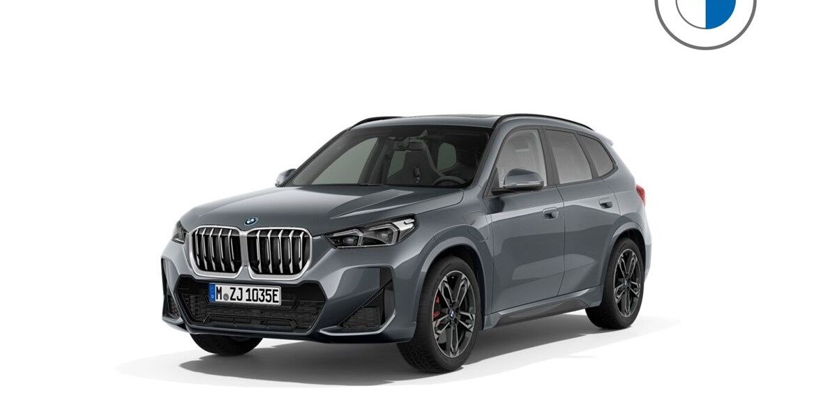 BMW X1 6.000 km 53.550 &euro; Mainz 55129