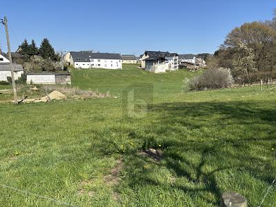 IHRE CHANCE AUF EIN ZUHAUSE IN SÜDLAGE - Grundstück Heidweiler | Angebot:26199636